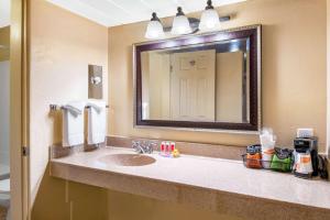 a bathroom with a sink and a mirror at Econo Lodge Inn & Suites Durango in Durango +22 photos