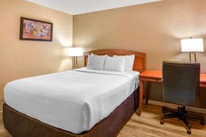 a large bed in a hotel room with a desk at Econo Lodge Inn & Suites Durango in Durango