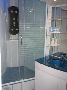 Kúpeľňa v ubytovaní Les dauphins de Mareuil