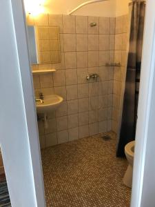 a bathroom with a shower and a sink and a toilet at Boróka Vendégház in Matrakeresztes