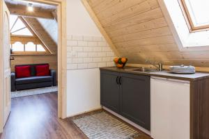 Kuchyňa alebo kuchynka v ubytovaní udanypobyt Villa Sywarne Prestige