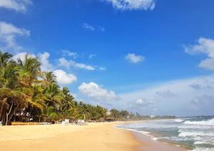 a beach with palm trees and the ocean at Lily Holiday Apartments in Hikkaduwa