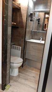 ein kleines Bad mit WC und Waschbecken in der Unterkunft appartement luxe Vars pied des pistes 6 couchages in Vars