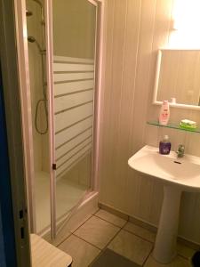 W łazience znajduje się prysznic i umywalka. w obiekcie Chambres d'Hôtes Le Clos du Murier w mieście Villefranche-de-Rouergue