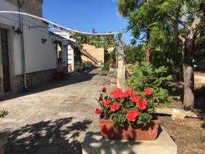 una maceta de flores rojas sentadas al lado de una calle en Corte dei Salentini, en Carpignano Salentino