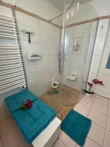 a bathroom with a shower with a blue seat at FeWo Waldkauz in Berchtesgaden