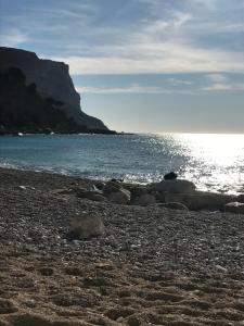 a rocky beach with the ocean in the background at studio avec terrasse parking in Six-Fours-les-Plages