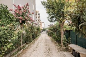 A garden outside Casa Patrizi