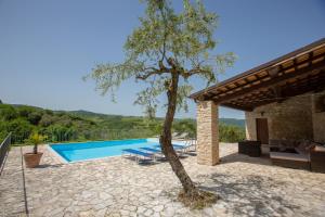 a villa with a swimming pool and a tree at Oleandro 2 in Ripabottoni