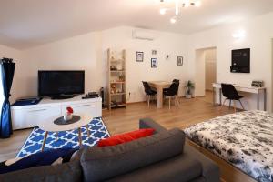 - un salon avec un canapé, un lit et une télévision dans l'établissement Sweet Loft Apartment "Blue" in Rijeka center, à Rijeka