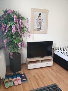 a living room with a flat screen tv and flowers at DM Apartment in Triberg