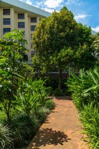 Taman di luar Barceló San José