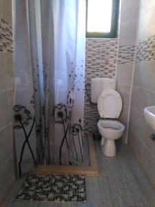Bilik mandi di Apartments Durmitor