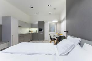 Kuchyňa alebo kuchynka v ubytovaní Lampi Aparthotel Prague
