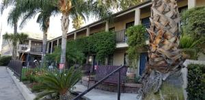 a building with a palm tree in front of it at Sierra Crossing Motel in Bloomington