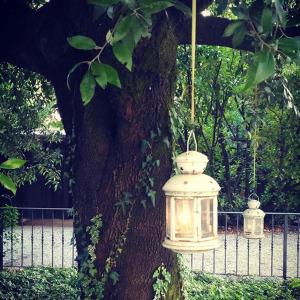 a tree with a lantern attached to a tree at Relais Casa Orter in Risano