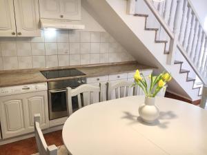 Kuchyň nebo kuchyňský kout v ubytování Apartment Marijana Baška