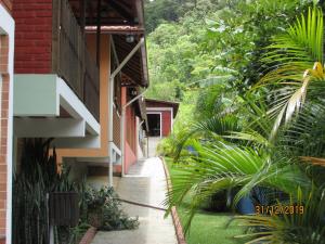a walkway outside of a house with palm trees at Hospedaria Rancho Ferreira in Nova Friburgo