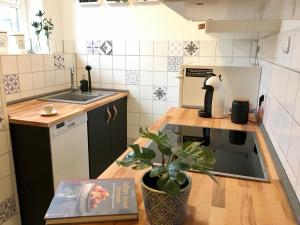 uma cozinha com um lavatório e uma mesa com um vaso de plantas em Heidelberg Apheartments em Heidelberg