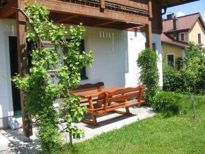 Zahrada ubytování Ferienwohnung Am Pflanzgarten