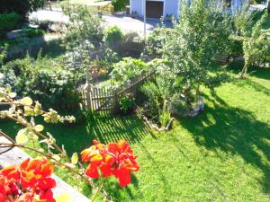 Zahrada ubytování Ferienwohnung Am Pflanzgarten