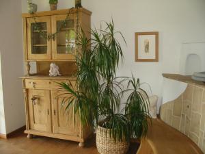 Fotografie z fotogalerie ubytování Ferienwohnung Am Pflanzgarten v destinaci Ebensee