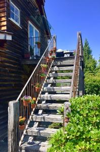 a wooden staircase leading to a house with potted plants at Three Thirty B & B in Queenstown