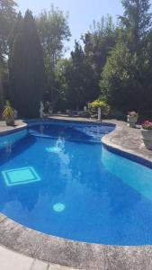 - une piscine d'eau bleue dans la cour dans l'établissement Norfolk House, à Maidenhead