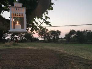 Príroda v okolí of the bed and breakfast