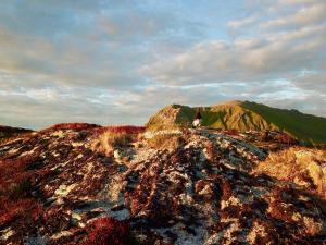 Fotografie z fotogalerie ubytování Viking Lodge Lofoten v destinaci Bøstad
