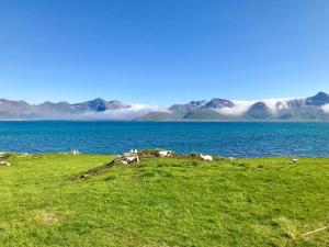 Fotografie z fotogalerie ubytování Viking Lodge Lofoten v destinaci Bøstad