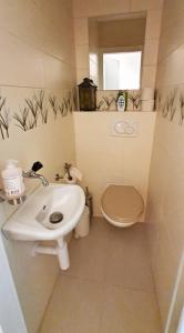 A bathroom at Perle de Leysin