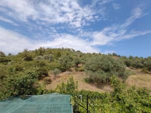 a view of a hill with trees and a blue sky at Elpida Apartment in Limenas