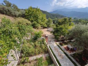 an overhead view of a garden with trees at Elpida Apartment in Limenas