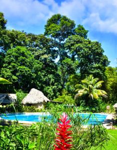 Imagem da galeria de Hotel Maya Bell em Palenque