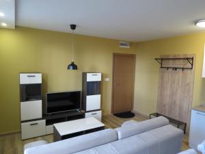 a living room with a white couch and a tv at Apartman i studio Žuta dunja in Kopaonik