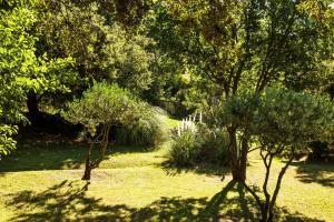 Vrt pred nastanitvijo La Bastide du Calalou; BW Signature Collection