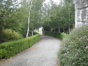 a walkway in a park with bushes and flowers at Ivy on Glenelg in Campbell Town