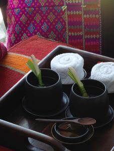 a tray with two plants in pots and towels at Tamarind Village in Chiang Mai