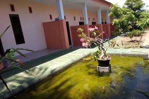 a potted plant in a pond in front of a house at Kelapa Gading Homestay Syariah RedPartner in Banyuwangi