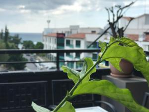 Balkón nebo terasa v ubytování 墾丁合歡8宿-Ho Huan B & B