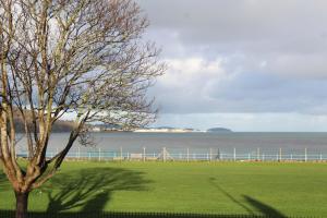 a tree in a field next to a body of water at Moryn. Snowdonia and Anglesey View in Bangor