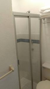 ein Bad mit einer Glasdusche und einem WC in der Unterkunft Departamento Comodo, Centrico, Estacionamiento in Querétaro