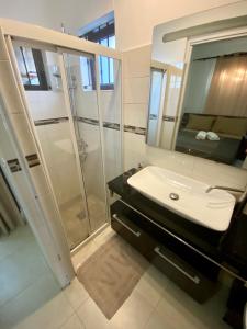 a bathroom with a sink and a shower with a mirror at Villa Ebène - Ideal Location in Rose Hill in Rose Hill