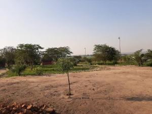 uma pequena árvore no meio de um campo de terra em Tangi Safari Lodge em Pakwach East