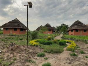 a row of houses with roofs in a field at Tangi Safari Lodge in Pakwach East