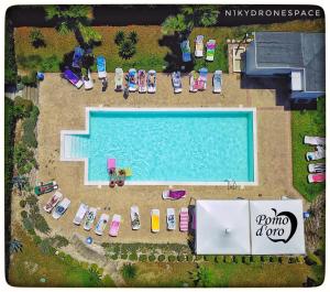 an overhead view of a swimming pool with chairs and umbrellas at Agriturismo Pomod’oro in Torre San Patrizio