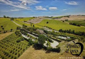 uma vista aérea de um parque num campo em Agriturismo Pomod’oro em Torre San Patrizio