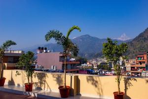 a group of trees in pots on top of a building at Hotel Silverline in Pokhara