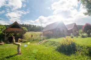 a statue in the grass in front of a house at Chatka w gorach in Lewin Kłodzki